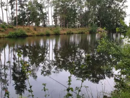 Speicher an der Spetze (Everingen)-2