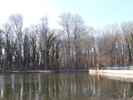 Parkteich Braunsbedra