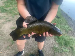 Parkteich Braunsbedra-1