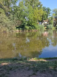 Parkteich Braunsbedra-4