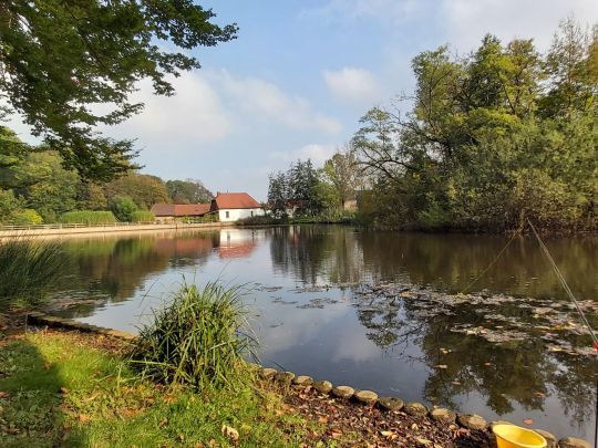 Parkteich Braunsbedra-3