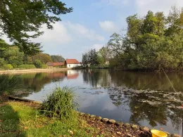 Parkteich Braunsbedra-3