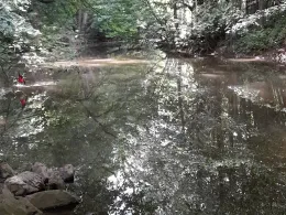 Weschnitz (Birkenau)-1