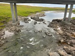 Laxá-1