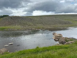 Laxá-4