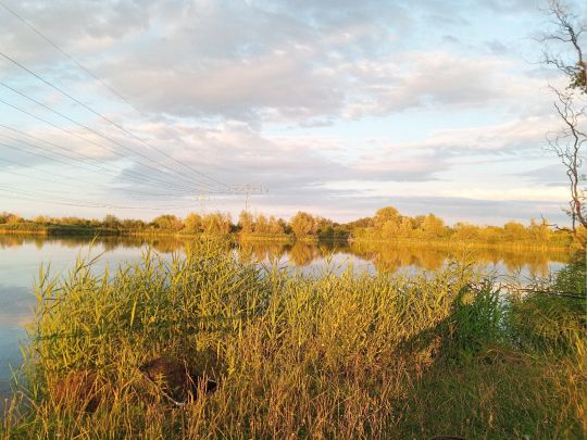 Plötzensee (Geratal Kies)-2