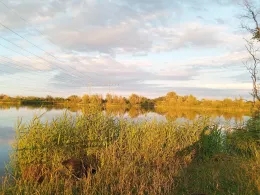 Plötzensee (Geratal Kies)-2