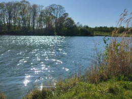 Hans-Jäger-See (Eichenwaldsee)-3