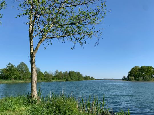 Hans-Jäger-See (Eichenwaldsee)-2
