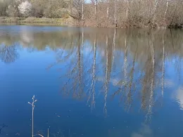Pappelteich Ermsleben-2