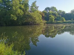 Pappelteich Ermsleben-1