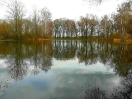 Pappelteich Ermsleben-4