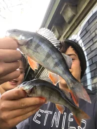 Alster (Hamburg-Eppendorf)-3