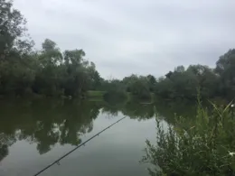 Gemeindeweiher Geisling