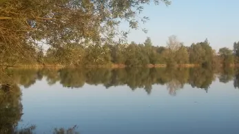 Gemeindeweiher Geisling-2