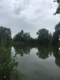 Gemeindeweiher Geisling-1