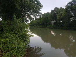 Stichkanal Hannover-Linden