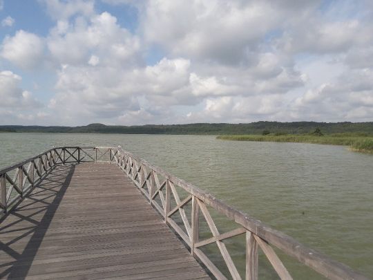 Schmachter See (Binz) angeln