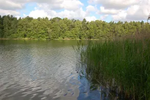 Tiefer See (Ranzig)-4