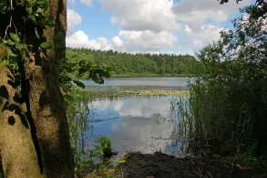 Tiefer See (Ranzig)-4