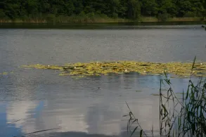 Tiefer See (Ranzig)-3