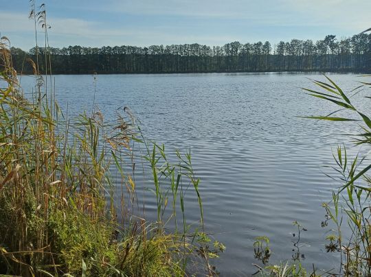 Tiefer See (Ranzig)-1