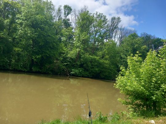 Saale (Dornburg-Camburg)-2