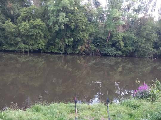 Saale (Dornburg-Camburg)-4