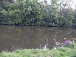 Saale (Dornburg-Camburg)-4