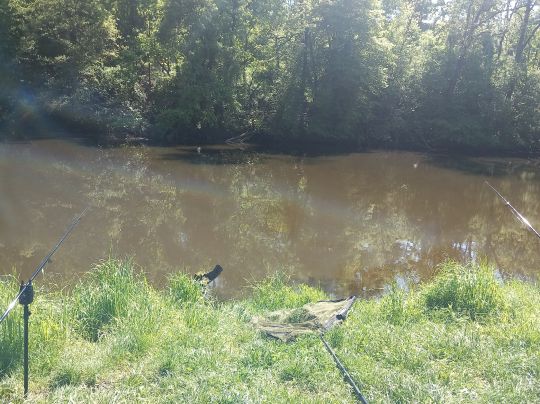 Saale (Dornburg-Camburg)-1