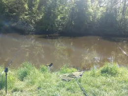 Saale (Dornburg-Camburg)-1