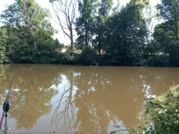 Saale (Dornburg-Camburg)