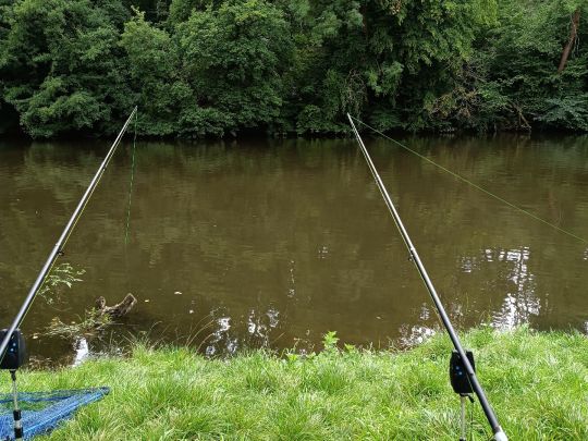 Saale (Dornburg-Camburg)-3