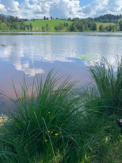 Soier See-3