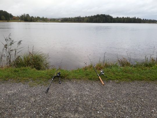 Soier See-1