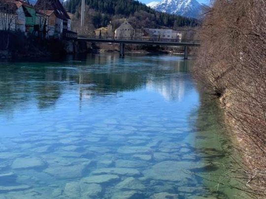 Lech (Füssen) angeln