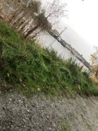 Saale (Alsleben/Saale)