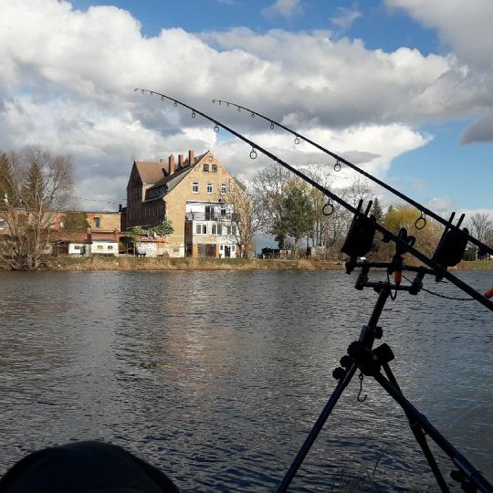 Saale (Alsleben/Saale)-4