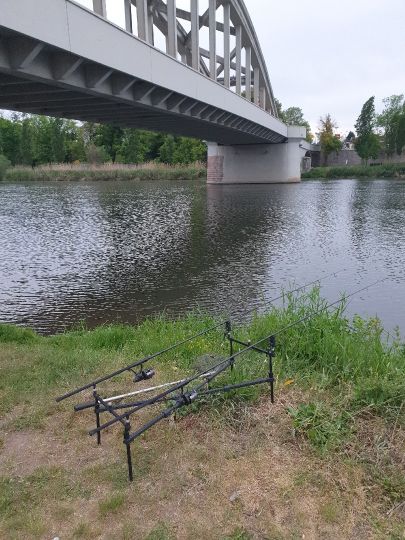 Saale (Alsleben/Saale)-0