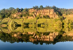 Neckar (Lauffen am Neckar)