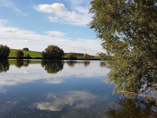 Neckar (Lauffen am Neckar)-3