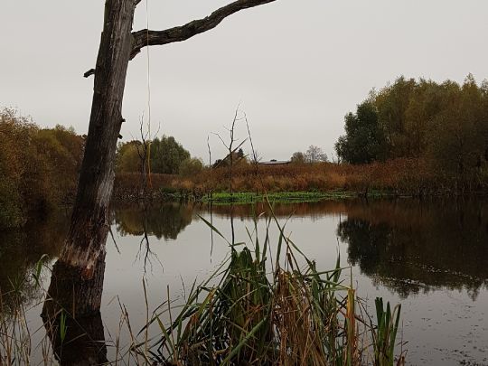 Feldsee (Mittenwalde)-1