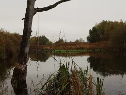 Feldsee (Mittenwalde)-1