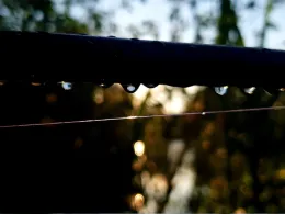 Vereinsteiche Sportfischer Farge-Rekum-2