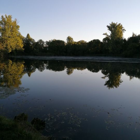 Klärteich Taucha