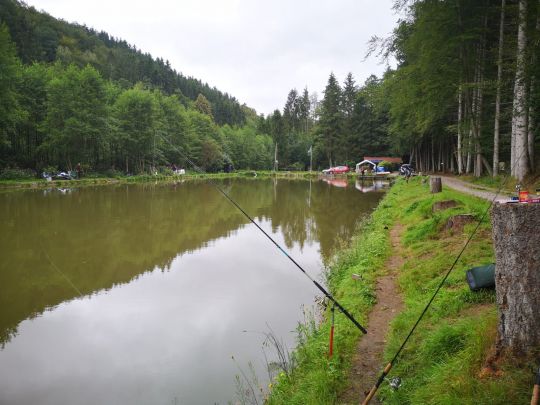 Friesenweiher (Wallhalben)-4