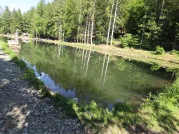 Friesenweiher (Wallhalben)-4