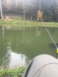 Friesenweiher (Wallhalben)-1