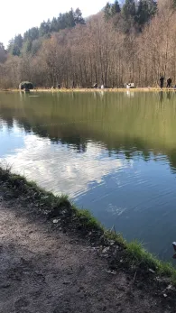 Friesenweiher (Wallhalben)