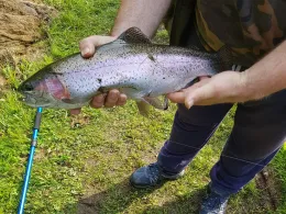 Friesenweiher (Wallhalben)-3